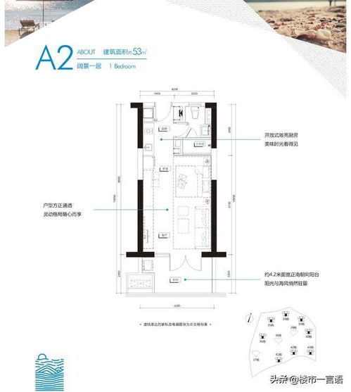 惠州 為何眾說紛紜 獨家內(nèi)幕