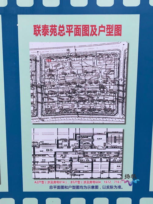 市區(qū)2019年度限價商品住房公開配售 87戶困難家庭圓 安居夢